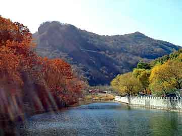 澳门二四六天天彩图库，石油树脂厂家